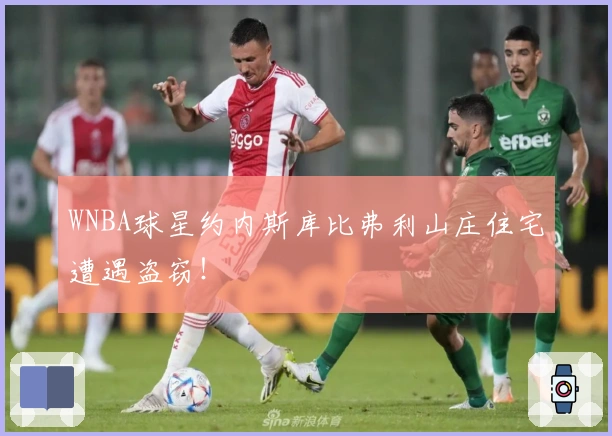 WNBA球星约内斯库比弗利山庄住宅遭遇盗窃!