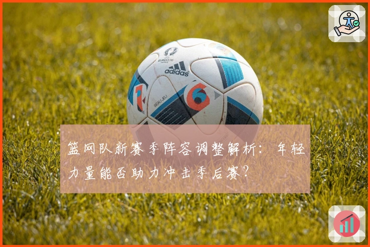 篮网队新赛季阵容调整解析：年轻力量能否助力冲击季后赛？