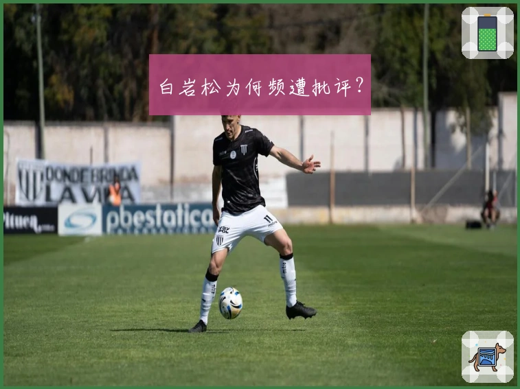 白岩松为何频遭批评？