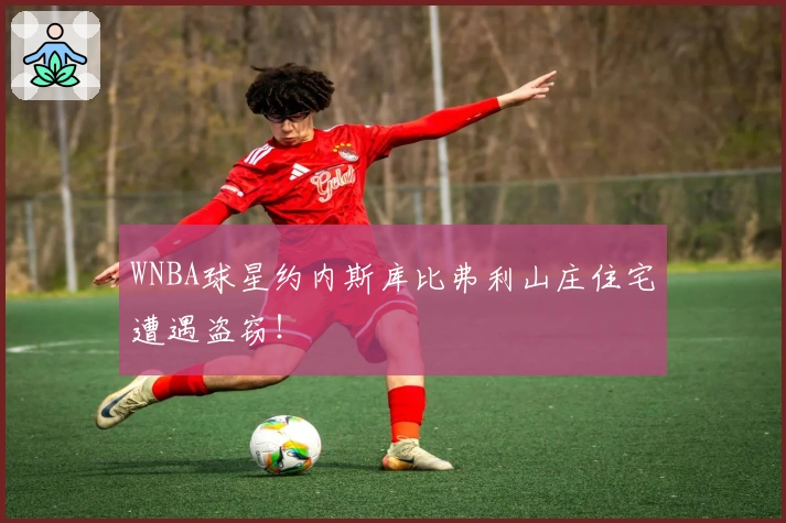 WNBA球星约内斯库比弗利山庄住宅遭遇盗窃！